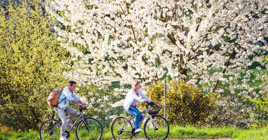 Senior couple biking together